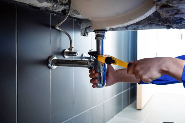 Best Commercial Plumbing Services  in Pecan Grove, TX